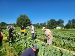 people harvesting.jpg